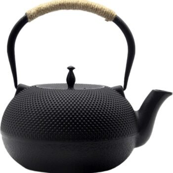 Big Cast Iron Teapot, Japanese Tetsubin Tea Kettle for Stovetop Safe, Cast Iron Tea Pot with Stainless Steel Infuser for Loose Tea and Ename Interior(1800ml/60.9oz)